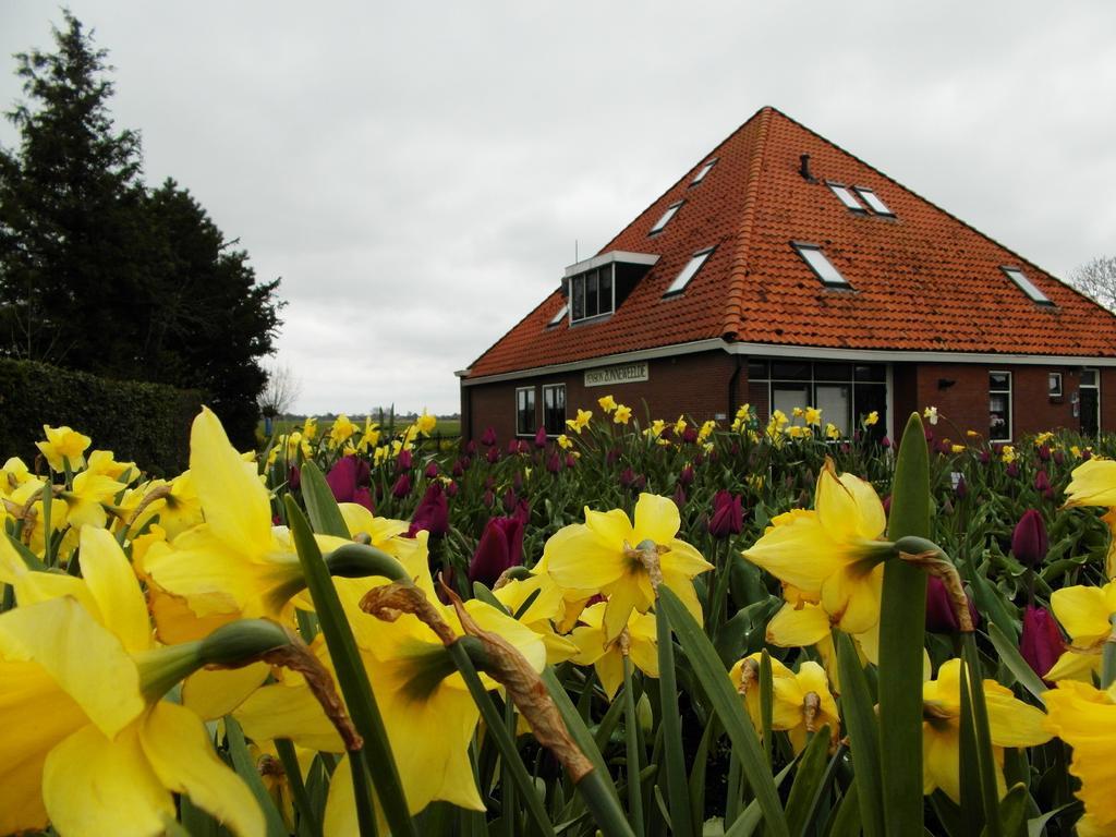 Pension Zonneweelde Oosthuizen Exteriér fotografie