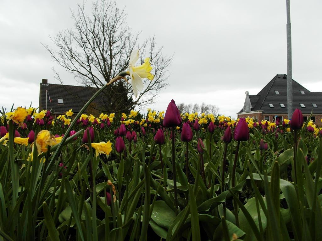 Pension Zonneweelde Oosthuizen Exteriér fotografie